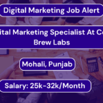 Work with Global Brands as a Digital Marketing Specialist – Code Brew Labs Hiring With Good Salary